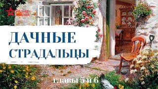 Николай Лейкин  Юмористические рассказы  Дачные страдальцы Главы 56 [upl. by Jacobs]