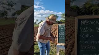 Em qual lua você planta mandioca agro campo roça solo agricultura [upl. by Ahsekad200]