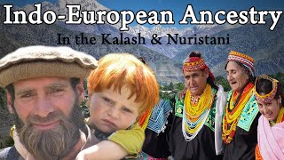 IndoEuropean Ancestry of the Kalash amp Nuristanis [upl. by Asseret838]