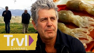 Anthony’s FAVORITE Episodes of All Time  Anthony Bourdain No Reservations  Travel Channel [upl. by Madelene]