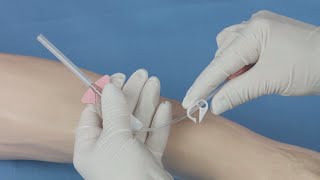 BD Nexiva™ Single Port Closed IV Catheter Insertion Techniques [upl. by Gareth]