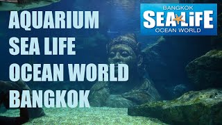 SEA LIFE OCEAN WORLD BANGKOK Aquarium Siam Paragon [upl. by Meletius]