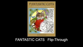 FANTASTIC CATS Coloring Book Flip Through [upl. by Castro]