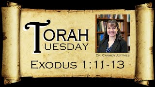 Torah Tuesday  Exodus 11113 [upl. by Tonie]