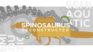 Spinosaurus The Controversy of the Aquatic Dinosaur [upl. by Wolfgram]