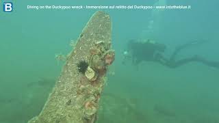 Diving on the Duckypoo wreck  Immersione sul relitto del Duckypoo  intotheblueit [upl. by Ahsitruc375]