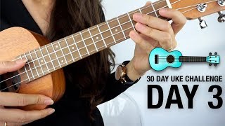 DAY 3  HOW TO PLAY THE CHROMATIC SCALE  30 DAY UKULELE CHALLENGE [upl. by Schram]