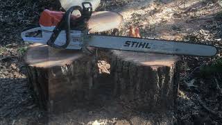 STIHL 462c 32 inch bar [upl. by Ylecara942]