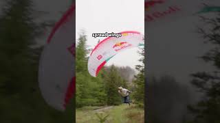 gliding into the history books 🪂 redbull worldrecord paraglide PatrickvonKanel [upl. by Florri]