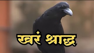 मराठी लघुपटखरं श्राद्ध  Khar Shraddha  Marathi Short Film [upl. by Rivard304]