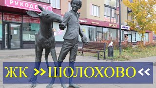 ЖК «Шолохово»  малоэтажный жилой комплекс на Дмитровском шоссе [upl. by Salbu]