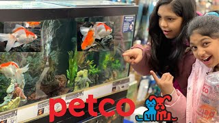 Getting 5 fish shopping at Petco [upl. by Mccready]