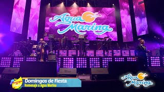 Agua Marina  Me Gusta Pensar En Ti La Carta  En Vivo [upl. by Nallad926]