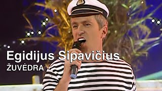 Egidijus Sipavičius  Žuvėdra Live Video • Mūsų Didelės Storos Lietuviškos Vestuvės [upl. by Stella]