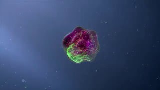 Flow Cytometry Animation [upl. by Gerger]