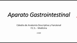 Aparato Gastrointestinal [upl. by Ramoh]