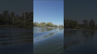 Two boats almost crashing on the Delta kayakbassfishing bassfishing fishing [upl. by Enileve440]