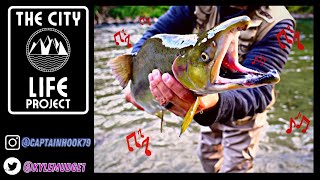 FLY FISHING for HIDEOUS HUMPBACK SALMON in CAMPBELL RIVER Vancouver Island  CATCH amp RELEASE  VLOG [upl. by Rolland]