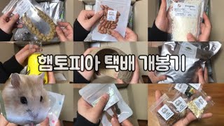 햄토피아 12000원 개봉기  햄토피아 택배 개봉기  햄토피아  택배 개봉기  개봉기  햄스터  드워프 햄스터  은신처  급수기  햄스터 간식  땅콩 [upl. by Yllah]