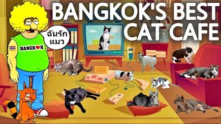 🐱THE BANGKOK CAT VIDEO  What l Really Think Of Cat Cafes  Meet The Cats Of Lumphini Park [upl. by Foscalina94]