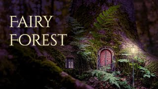 Fairy Forest Ambience and Music  sounds of magical forest in the evening with ambient fantasy music [upl. by Solotsopa]