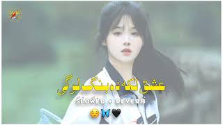 Ashq Lak Da Bangh Log A 😌❤️ SlowedReverb Plz Subscribe Aur Channel Poshto New Song TikTok Viral❤️ [upl. by Nabila79]