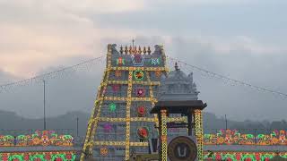 Tirumala Vaikunta Ekadasi 2023 [upl. by Liman]