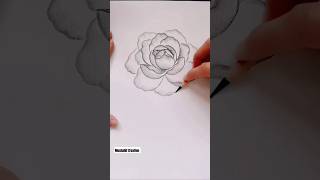 Rose Art Drawing For Pencil Gulab Kese Bante Ha rose artist artandcraft mushahifcreation [upl. by Katalin386]