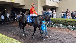 Bob Baffert Trainee Debuts and Wins Without a Challenge at Del Mar [upl. by Arlee]