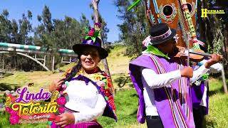 💞VIDEO TORIL 2024 CON LINDA TOTORITA DE CALPAMAYO PARINACOCHAS AYACUCHO 💞TEMA TORO MASKAY CORACORA [upl. by Koah472]