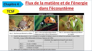 flux de la matière et de lénergie dans lécosystème  les relations trophiques شرح بالداريجة [upl. by Liva607]