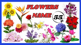 Flowers Name for kids  50 Flower name for kids learning  Common Flowers Name for kids [upl. by Stanley]