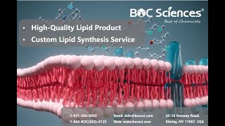 Lipids  Fatty Acids Phospholipids Terpenes  Structure of Lipids [upl. by Ecissej269]