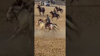 Buzkashi balkh Afghanistan 🇦🇫 [upl. by Tnilc]