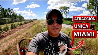 Una Atracción Única en Miami 4k [upl. by Hurless122]