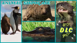 The Penguins are HILARIOUS  Planet Zoo Aquatic Pack  All Animals Showcased  No Commentary [upl. by Erund]