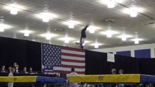 Casey Chandler  Mens Trampoline Finals  2012 USA Gymnastics Championships [upl. by Tanny268]