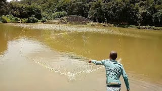 Pesca de tarrafaesse lago é muito top [upl. by Lyndell]