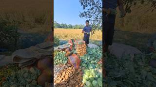 Sabji Market export to many Countries from Assam firstminivlog [upl. by Lah]