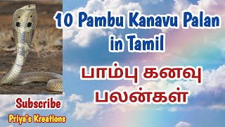 10 பாம்பு கனவில் வந்தால் என்ன பலன்  10 Pambu Kanavu Palan in Tamil  Kanavu Palan  Snake Kanavu [upl. by Lucien612]