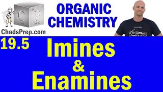 195 Imine and Enamine Formation  Addition of Amines  Organic Chemistry [upl. by Neelyam]