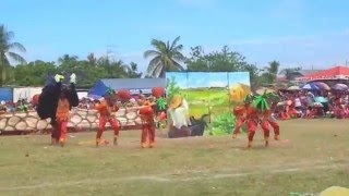 Patimyas Ani Festival Grand Champion 2016 BERTESE ELEMENTARY SCHOOL Quezon Nueva Ecija [upl. by Llecram]