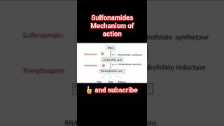 sulfonamides mechanism of actionpharmacology physiology [upl. by Esinek]