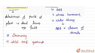 What is the role of abscisic acid on abscission [upl. by Kela]