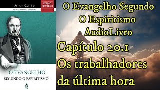 Os trabalhadores da última hora  Capítulo 201  Evangelho Segundo o Espiritismo  Audiobook [upl. by Edyaj823]