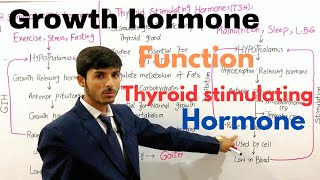 Growth hormone  Thyroid stimulating hormone  Somatotropin Gigantism amp dwarfism  Endocrine system [upl. by Eimoan39]