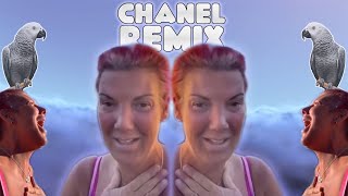 Chanel The Parrot Remix Official Video [upl. by Llednahs]