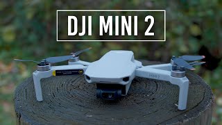 DJI Mini 2 Drone  Handson Review [upl. by Rebecca685]