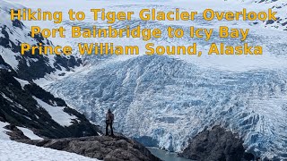 Hike to Tiger Glacier Overlook Prince William Sound Alaska  Flying Fish [upl. by Nerdna]