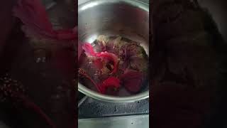 Hibiscus tea youtube natureenthusiast explorethebeautyofnature [upl. by Hamner]